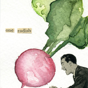 Aceo 11 One Radish
