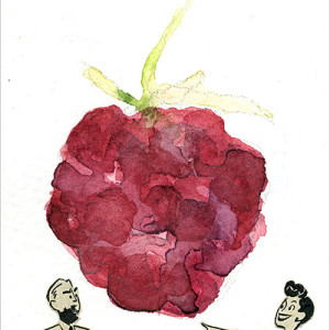 Aceo 15 Raspberry Jam