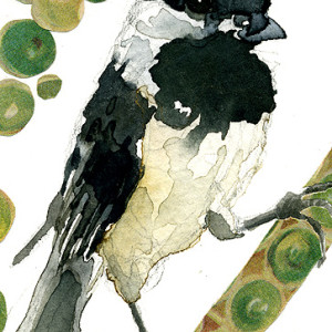Aceo 2011 Bird01