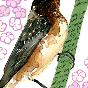 Aceo 2011 Bird05