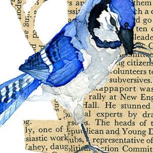 Aceo 2011 Bird06