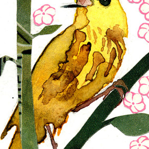 Aceo 2011 Bird07