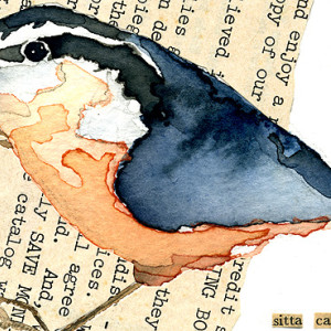 Aceo 2011 Bird10