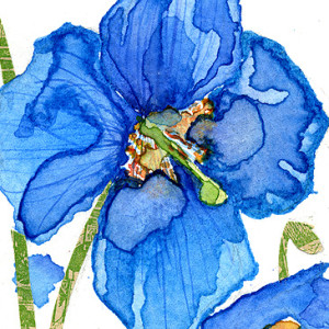 Aceo 2011 Garden10