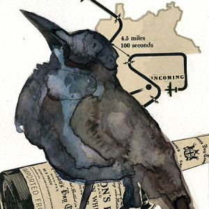 Black Bird Of Destruction Sm