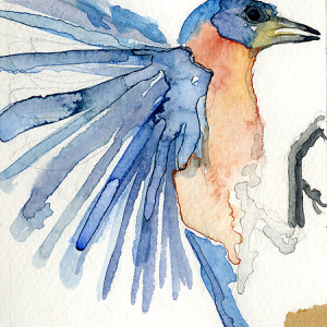 Blue Bird Of Happiness Sm