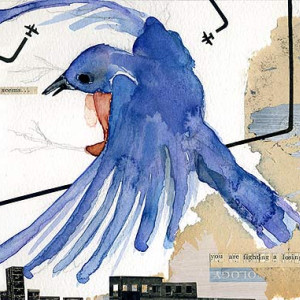 Blue Blackbird Losing Battle Sm