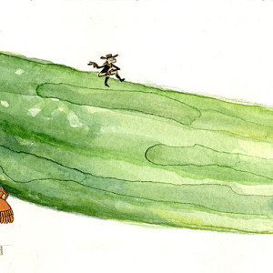 Cucumber In Transit