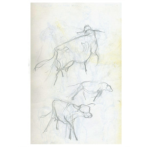 Drawings cows