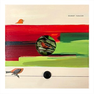 Museum seires scar tanager