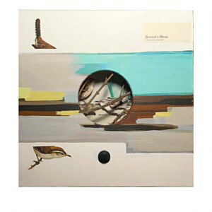 Museum series bewicks wren