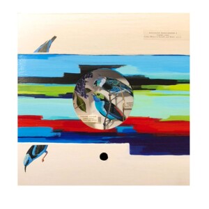 Museum series blue tanager