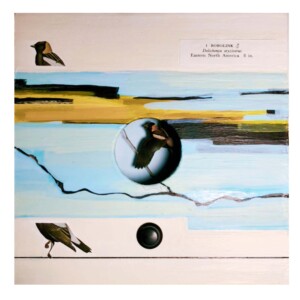 Museum series bobolink