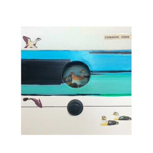 Museum series eider duck