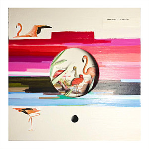 Museum series flamingo