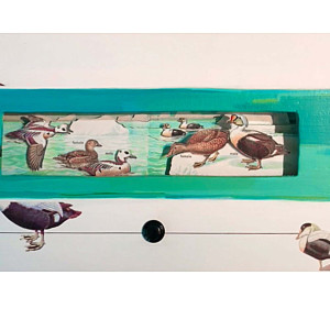 Museum series sea ducks01