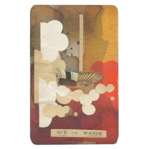 Wands ace