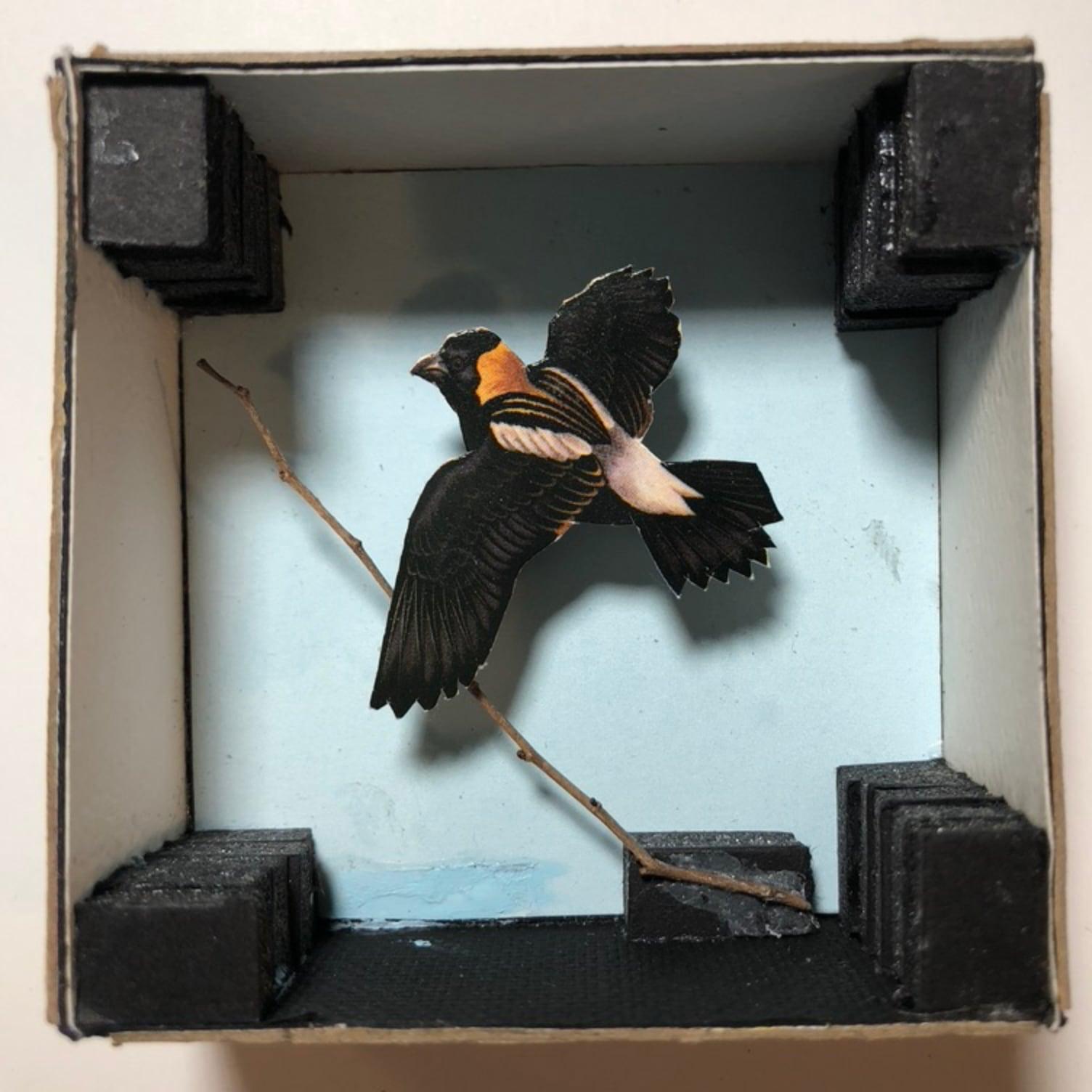 Bobolink diorama