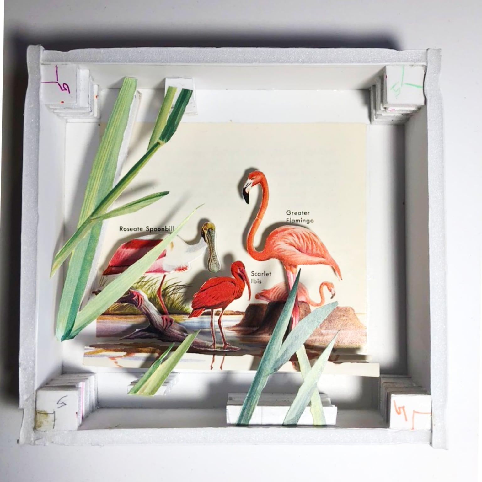 Flamingo diorama