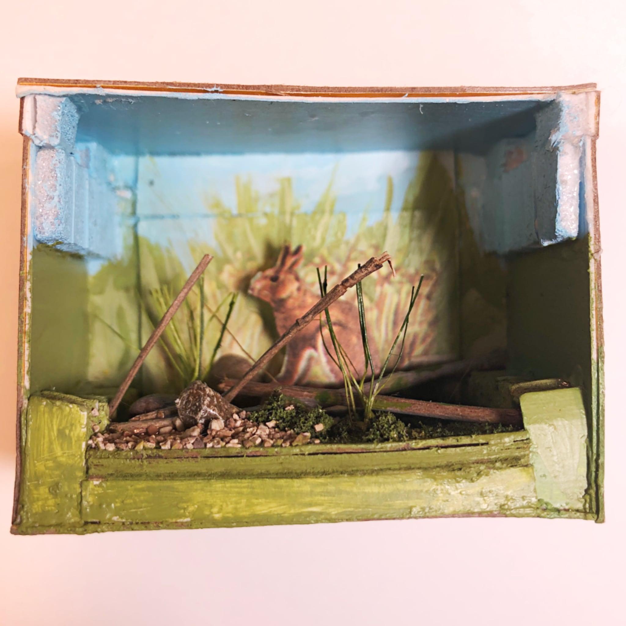 Snowshoe diorama01